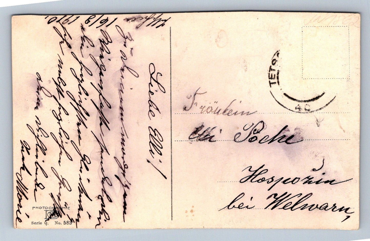 Pohlednice Růžový keř (JN1862)
