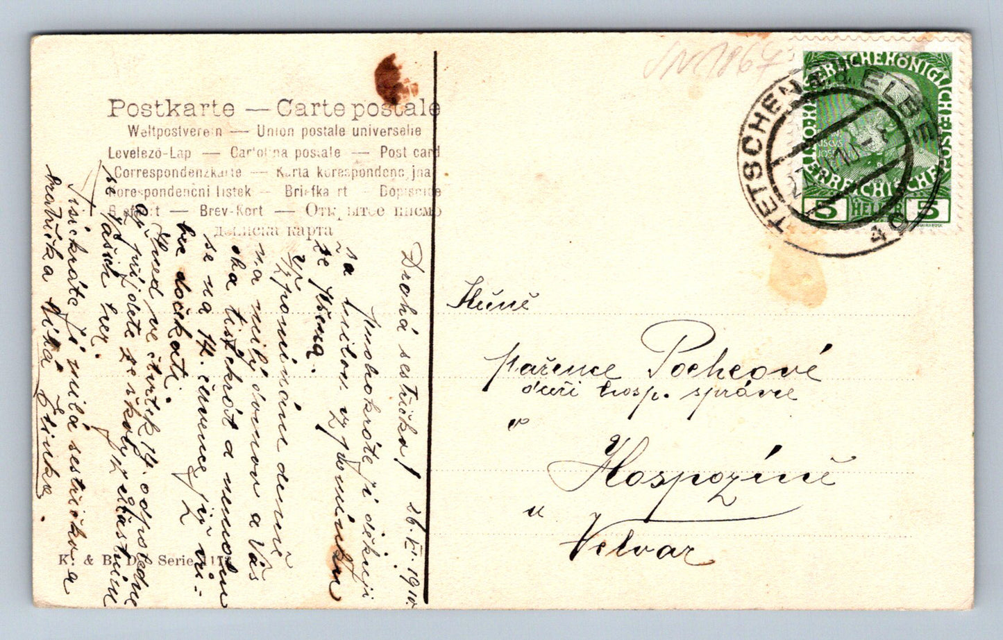 Pohlednice Kolorovaná pohlednice Stromy (JN1867)
