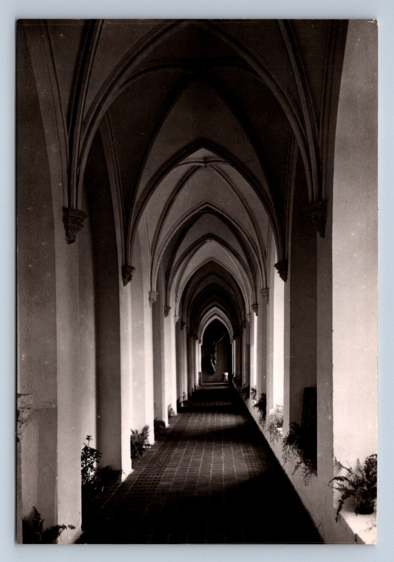 Pohlednice Malbork Zamek Średni (JN2299)