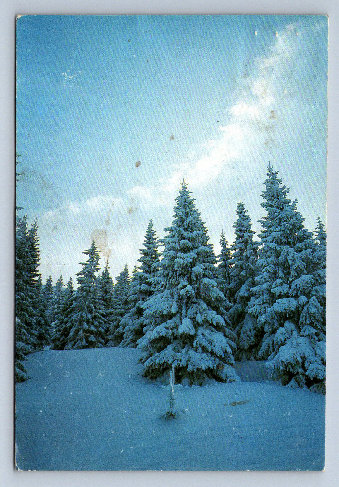 Pohlednice Zasněžená krajina (JN2525)