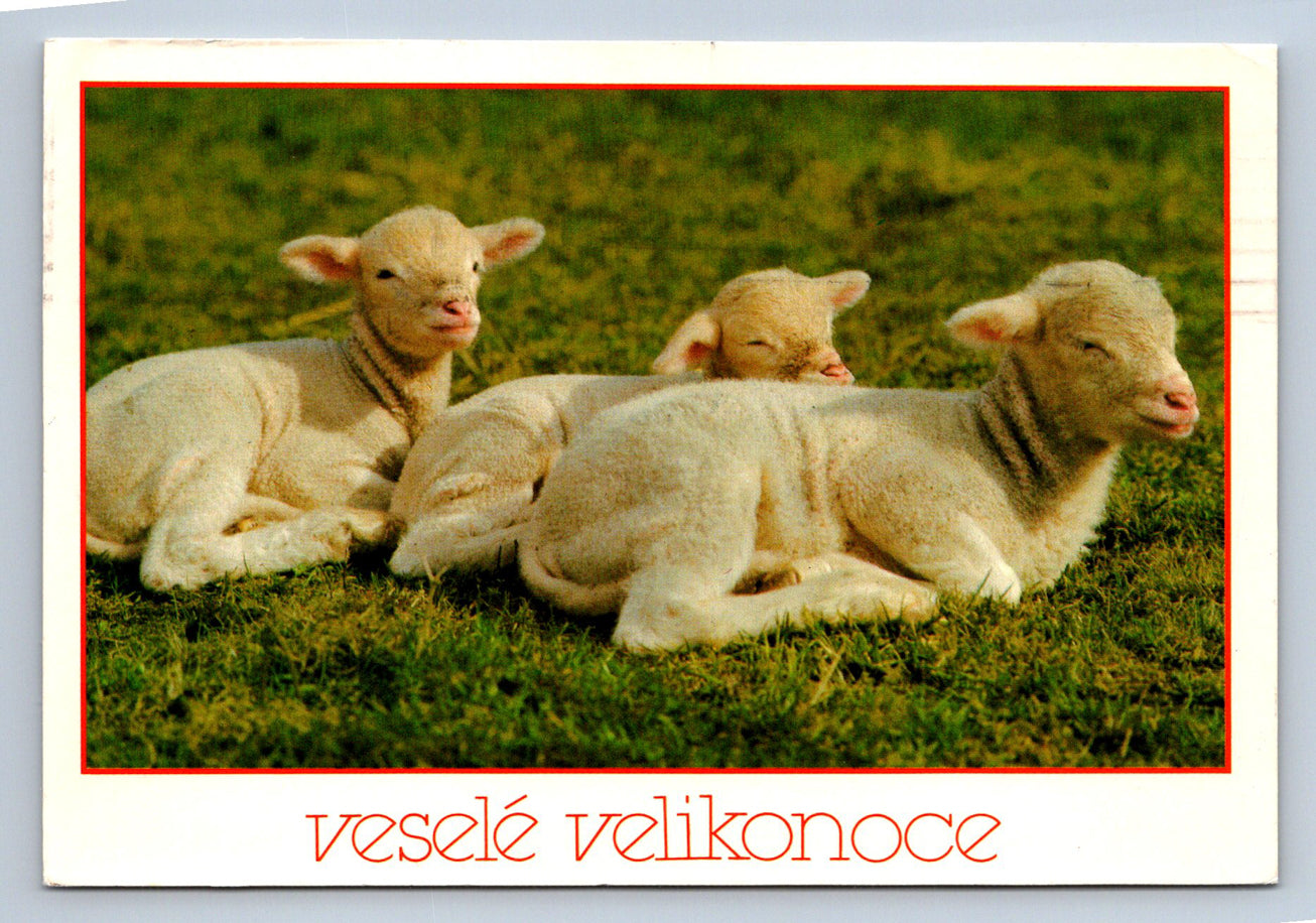 Pohlednice VESELÉ VELIKONOCE (ST1051)