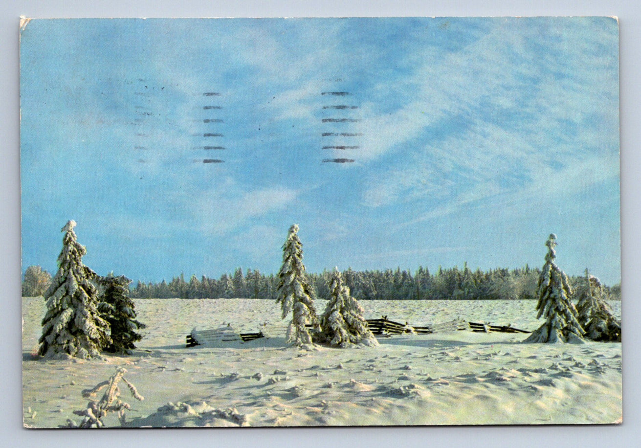 PohlednicePROŽITÍ VÁNOČNÍCH SVÁTKŮ A ŠŤASTNÝ NOVÝ ROK (ST1105)