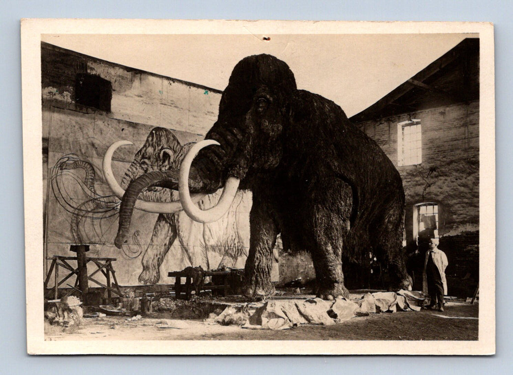 Pohlednice MAMUT (ST1686)