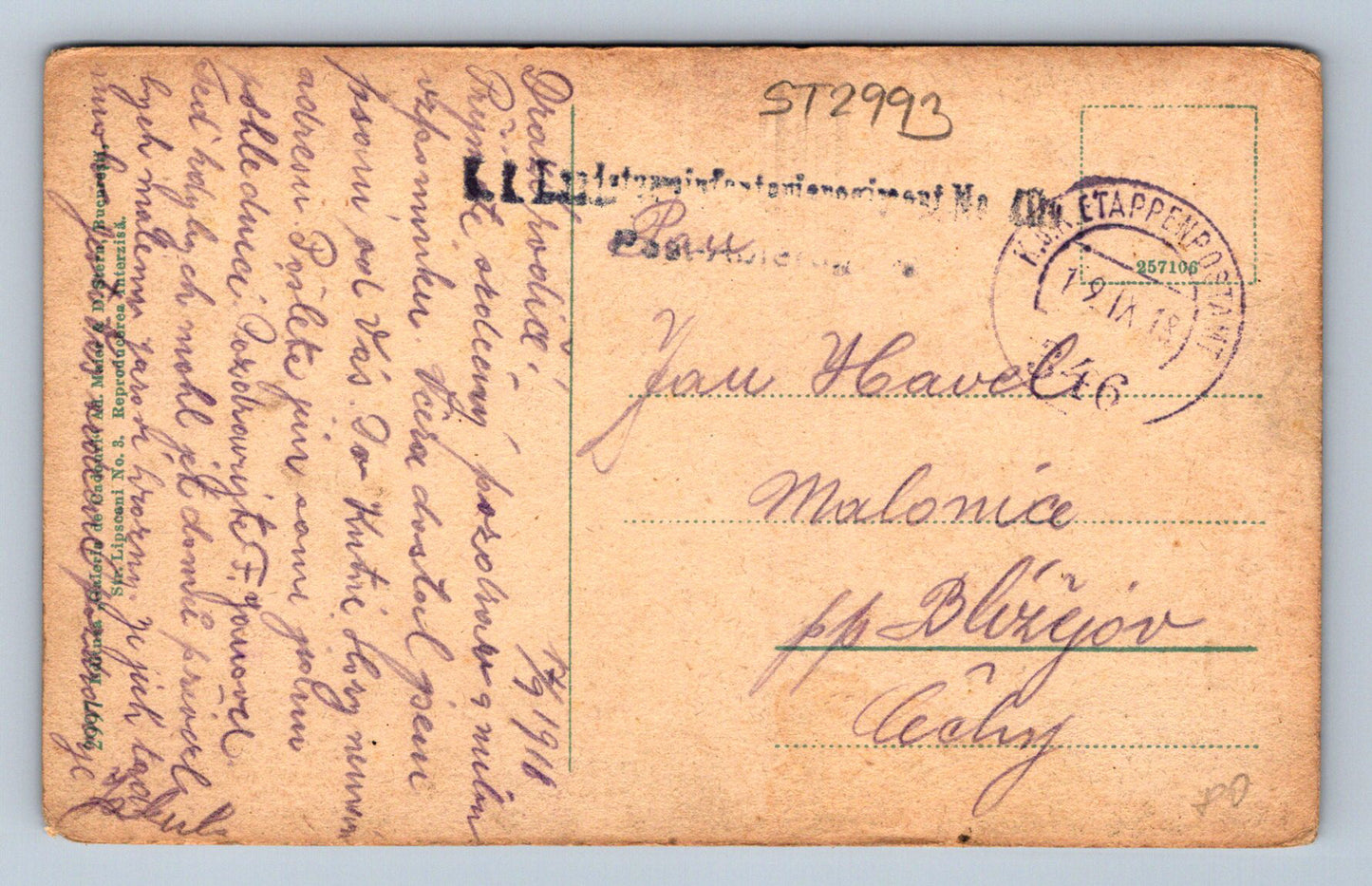 Postcard SINAIA (ST2993)