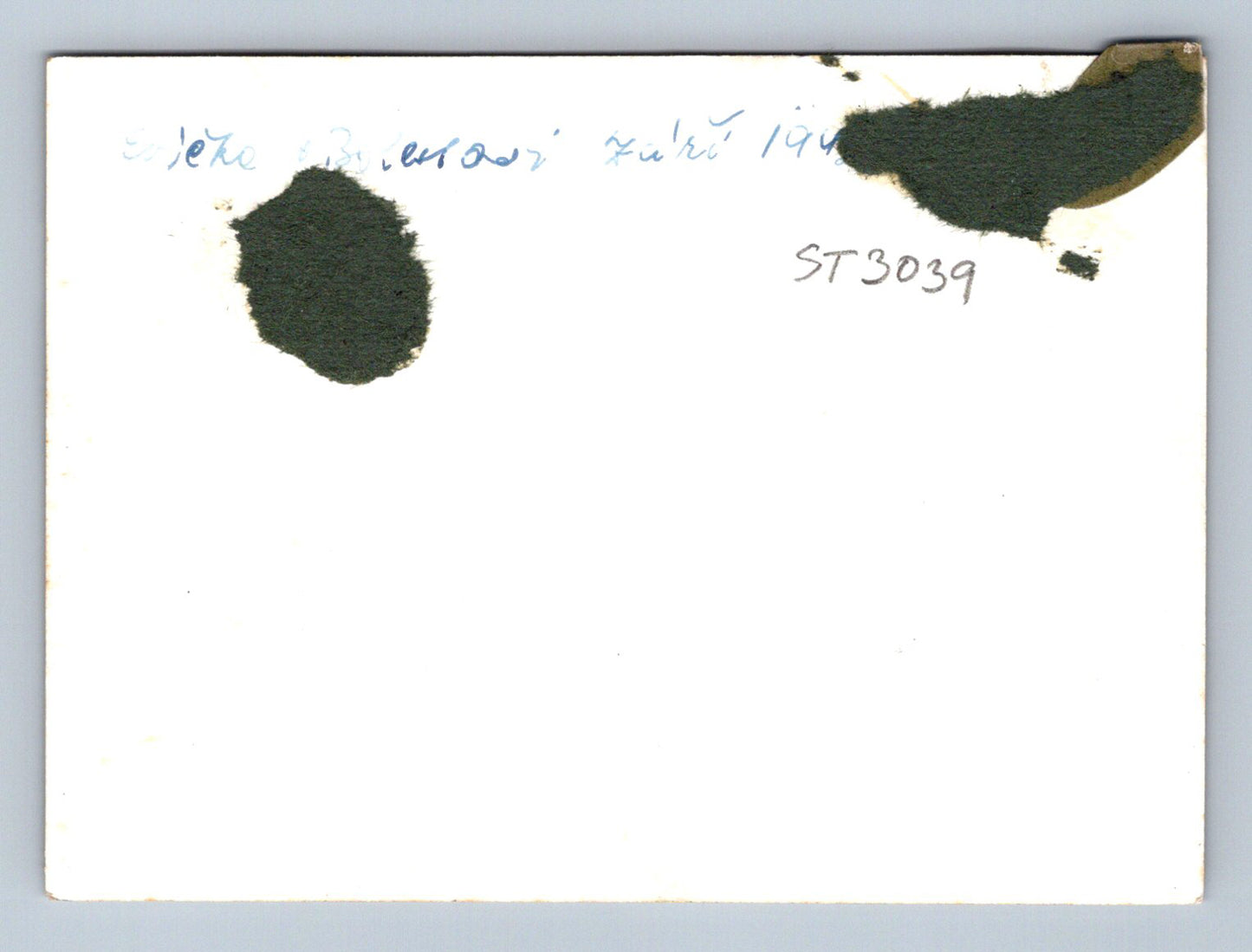 Postcard WITH GRANDMA (ST3039)