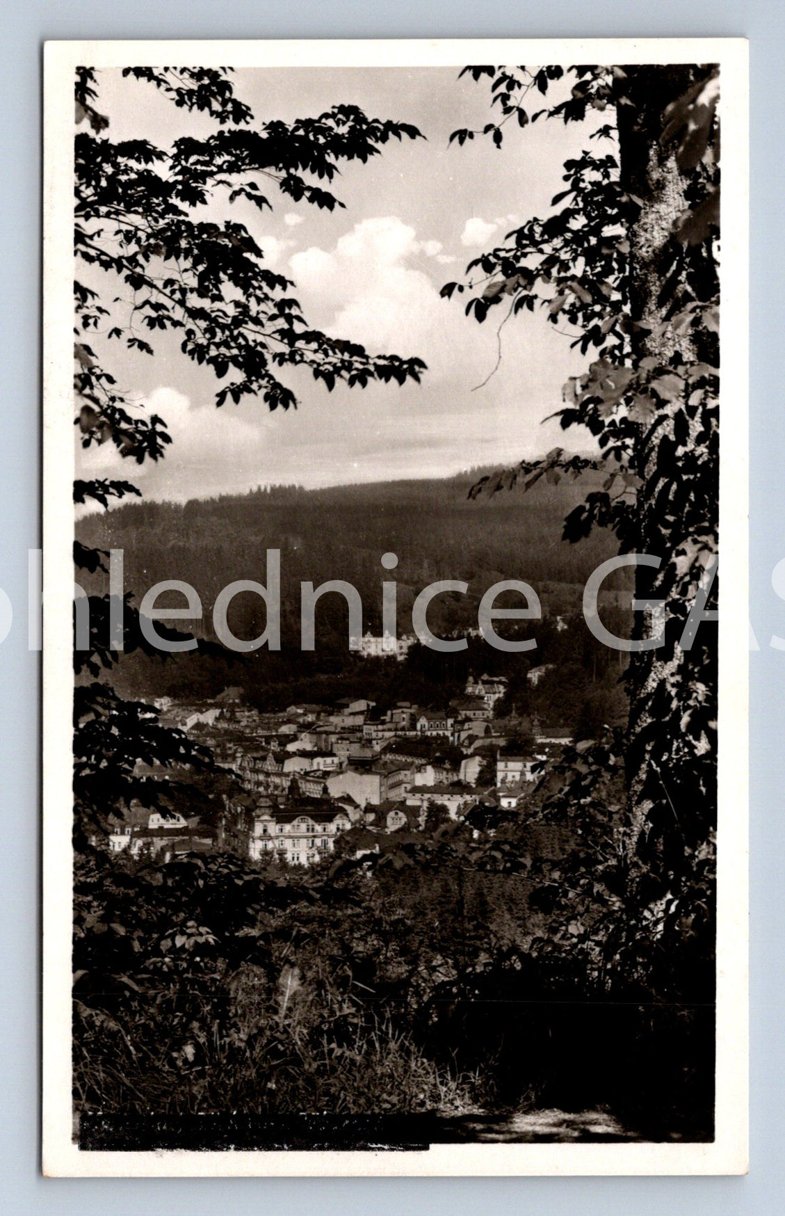 Pohlednice MARIÁNSKÉ LÁZNĚ (ST5524)
