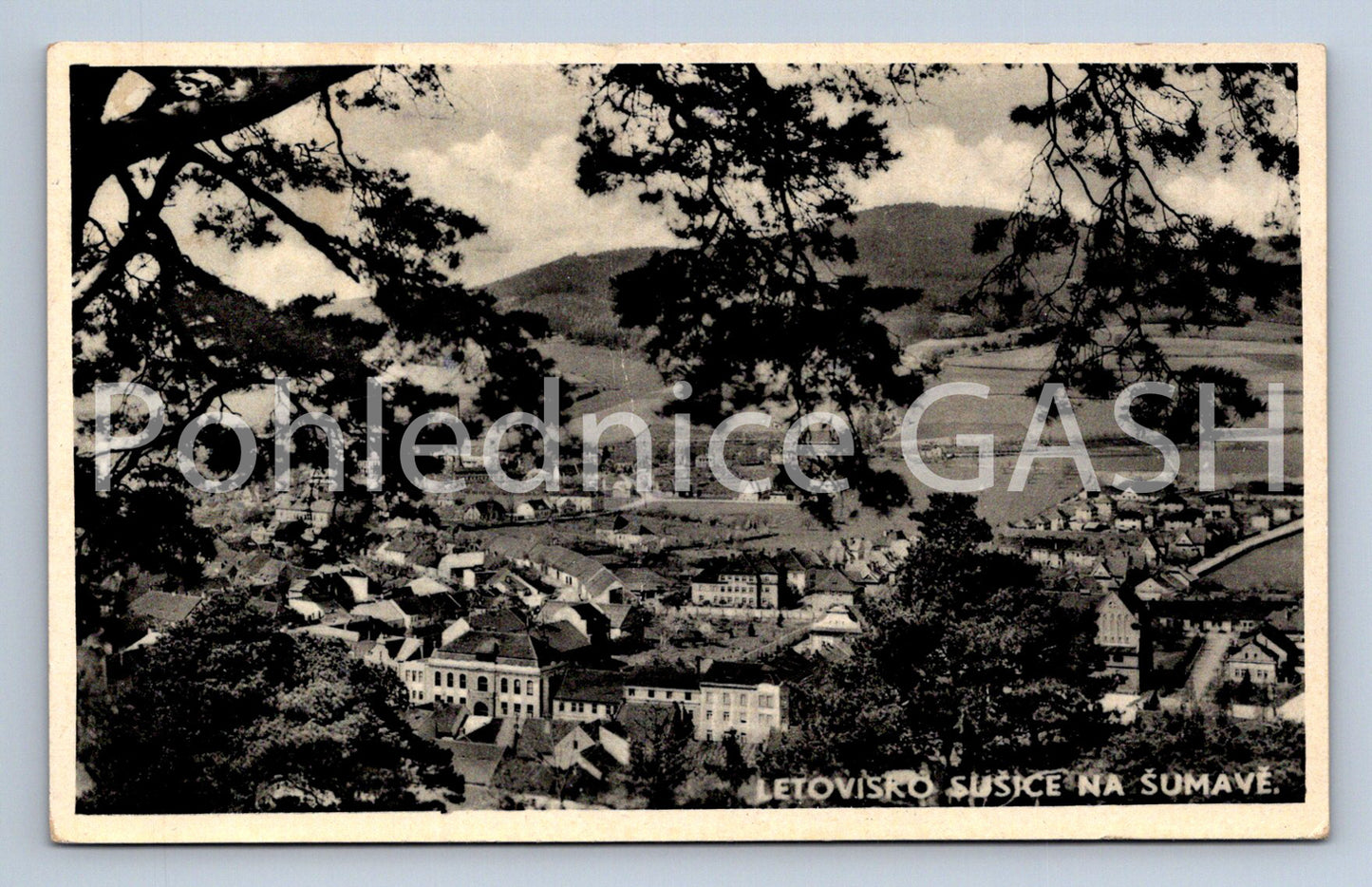 Pohlednice LETOVISKO SUŠICE NA ŠUMAVĚ (ST5779)