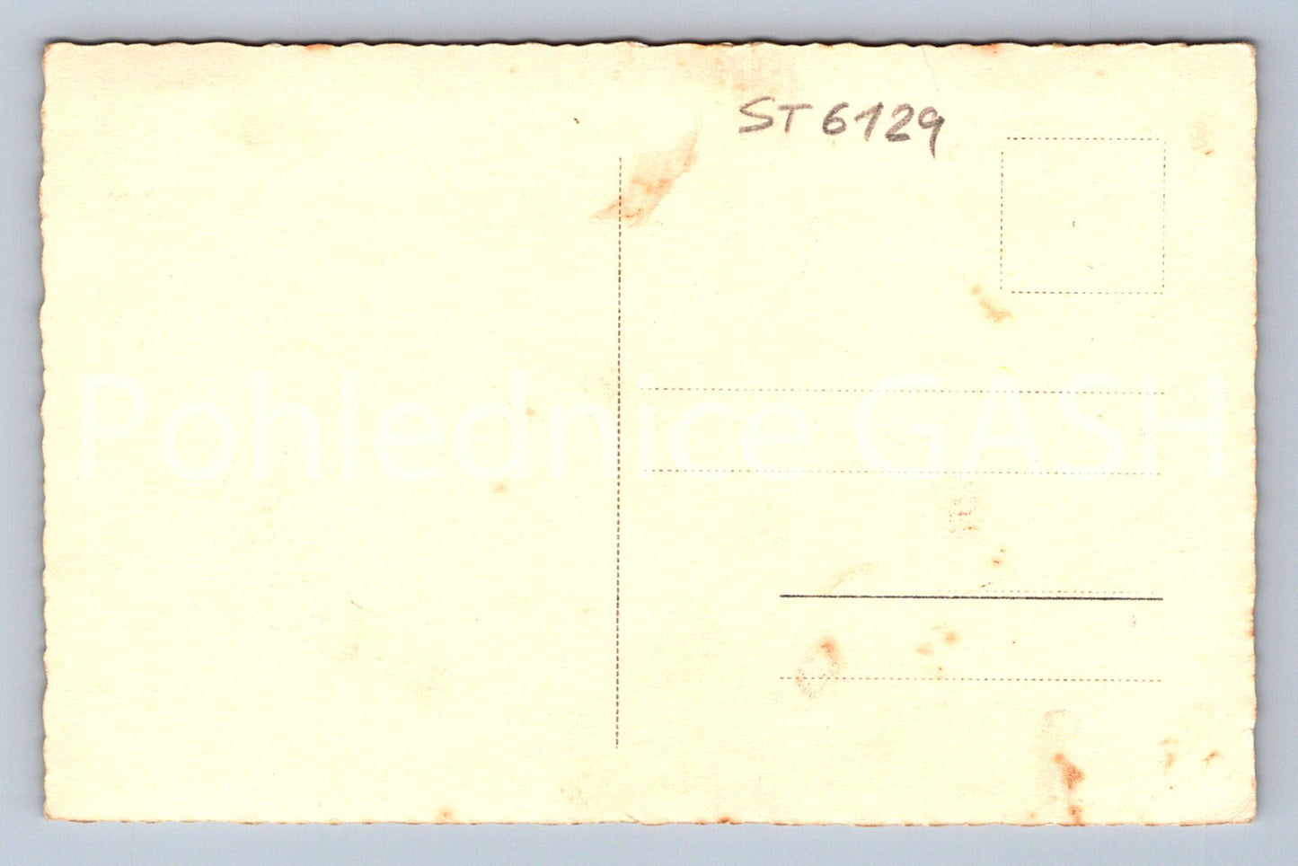 Postcard DECIN NAD LABEM CASTLE (ST6129)