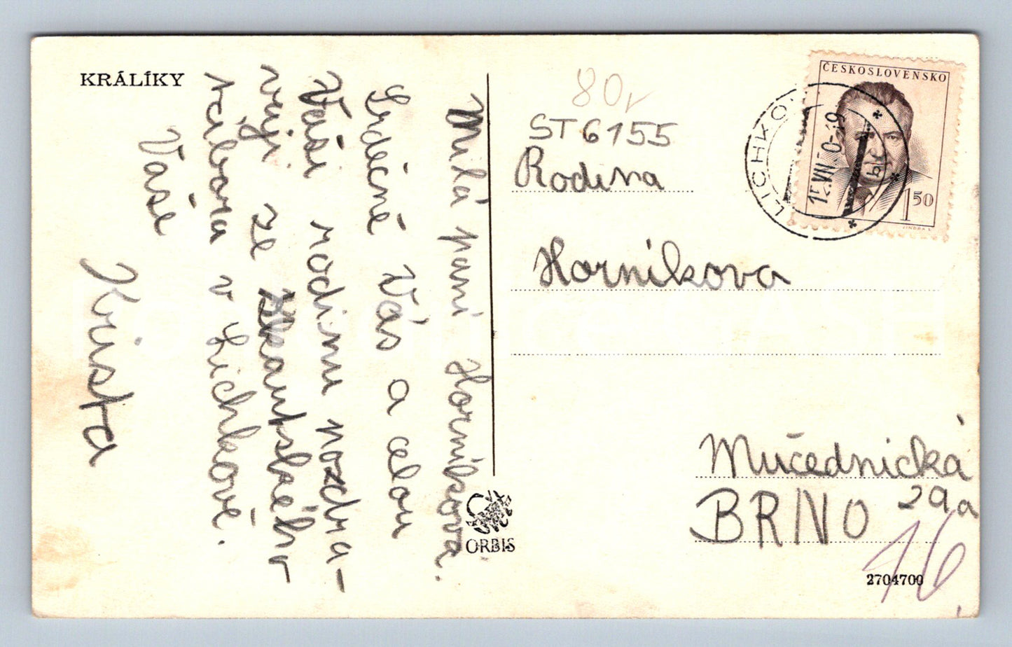 Postcard RABBITS (ST6155)