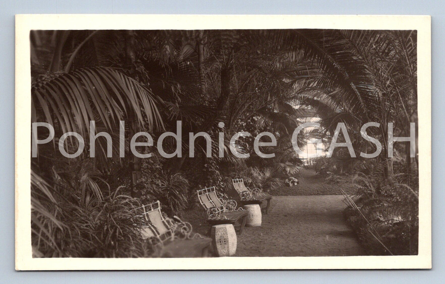 Pohlednice LEDNICE (ST4386)