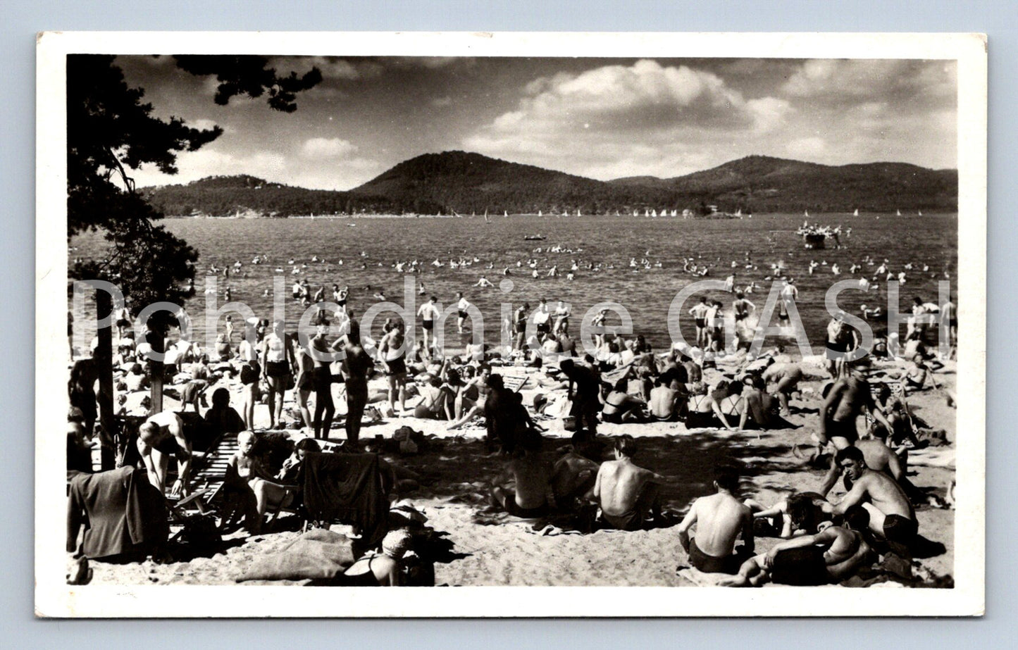 Pohlednice STARÉ SPLAVY - MÁCHOVO JEZERO (ST4397)