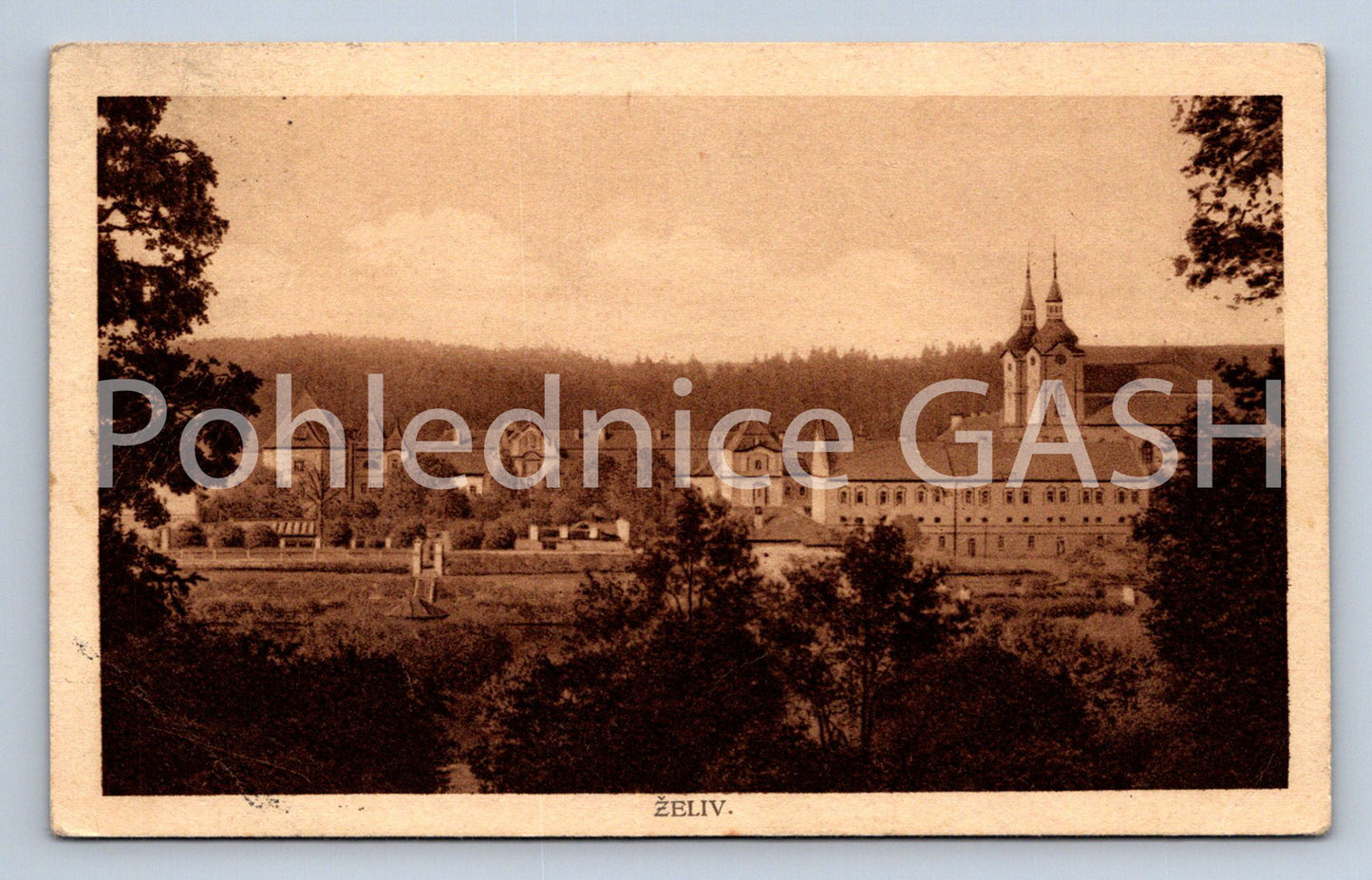 Pohlednice ŽELIV (ST4460)