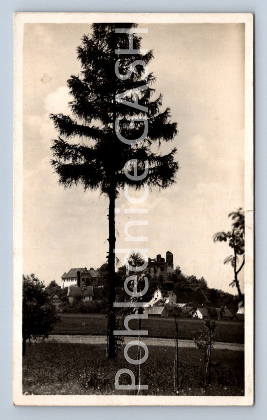 Pohlednice HRAD KOŠUMBERK U LUŽE (ST4502)