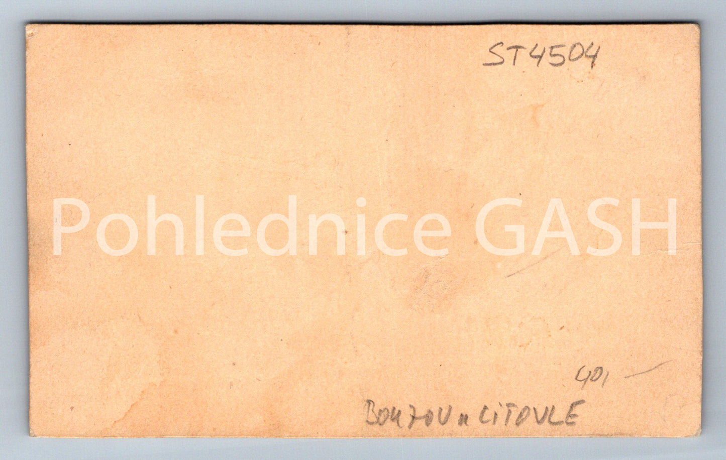 Pohlednice BOUZOV U LITOVELE (ST4504)