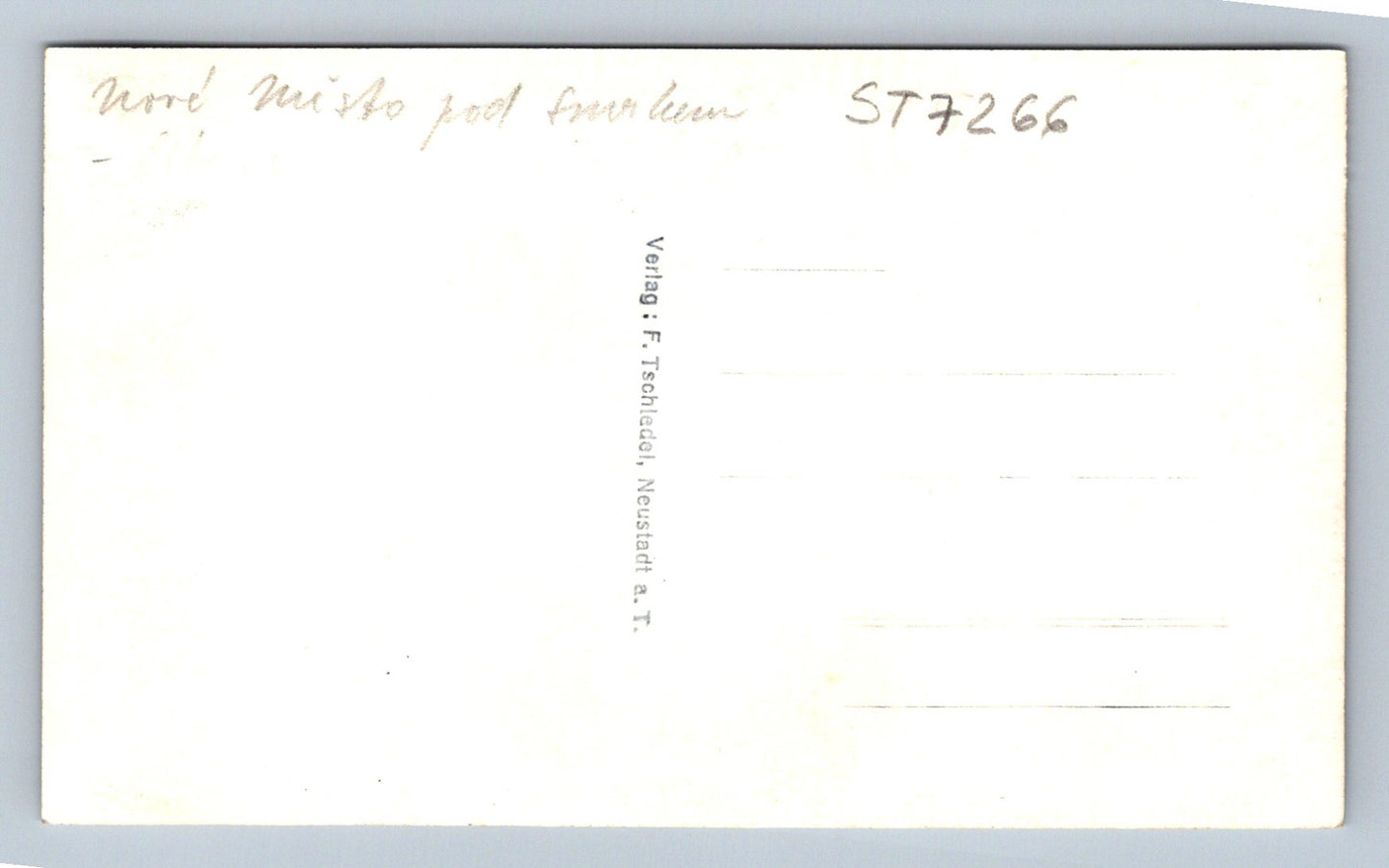 Postcard SOMMERFRISCHE NEUSTADT AT (ST7266)