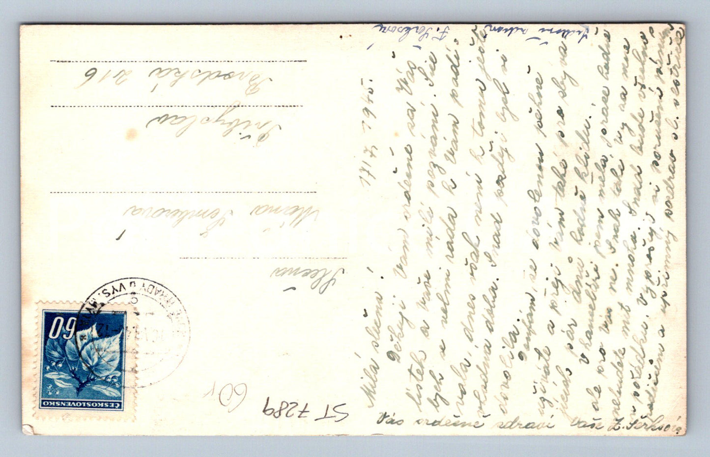 Postcard NEW CASTLE AT VYSOKÝ MÝTO (ST7289)