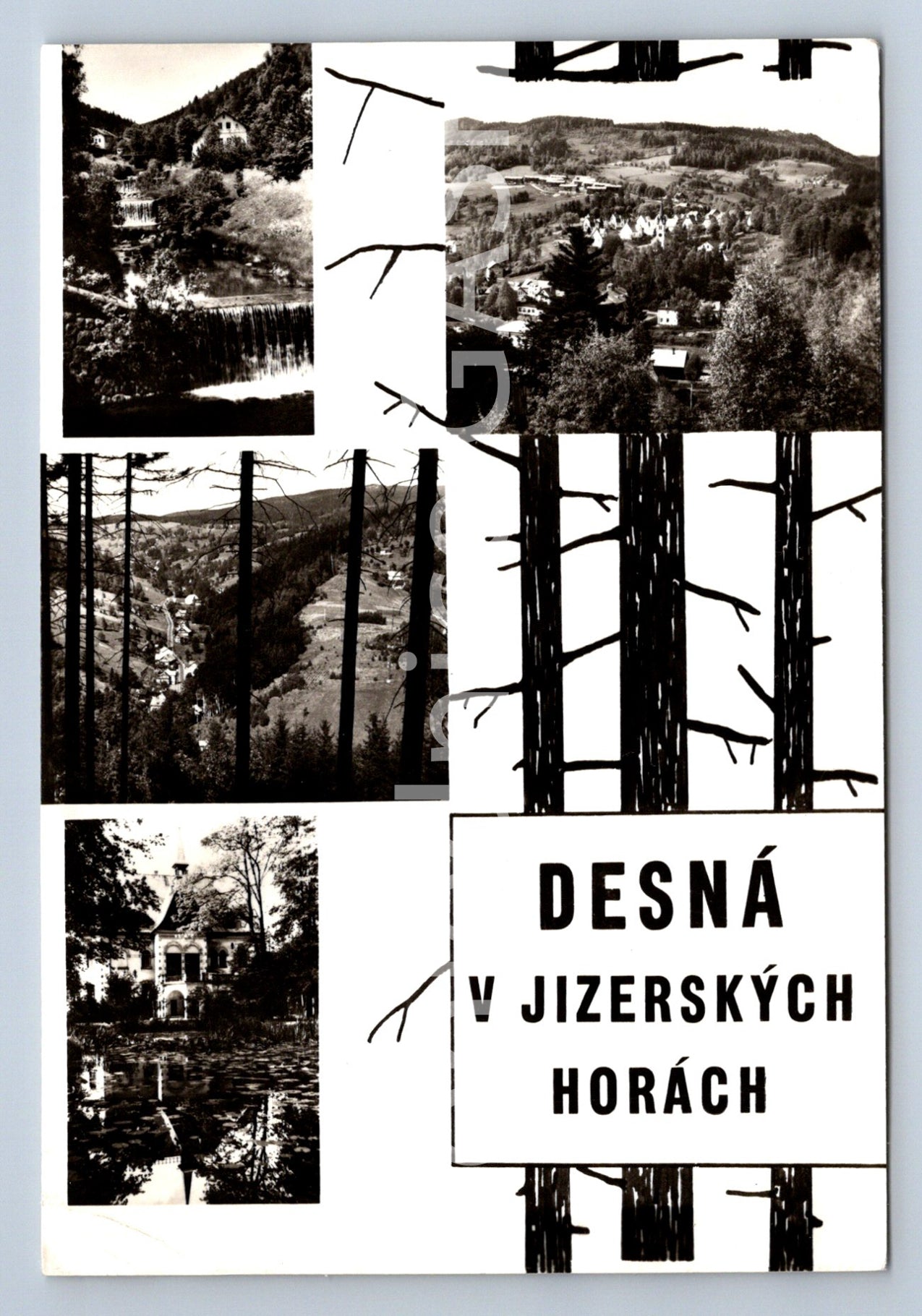 Pohlednice DESNÁ V JIZERSKÝCH HORÁCH - KOLÁŽ (ST8691)