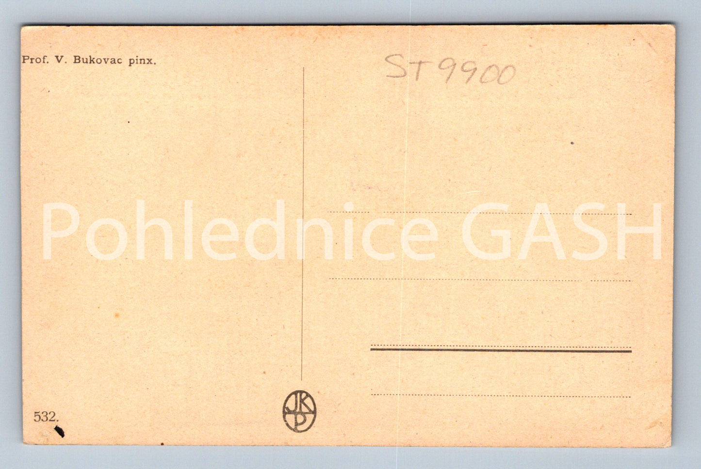 Pohlednice PROF. V. BUKOVAC - V NEDBALKÁCH (ST9900)