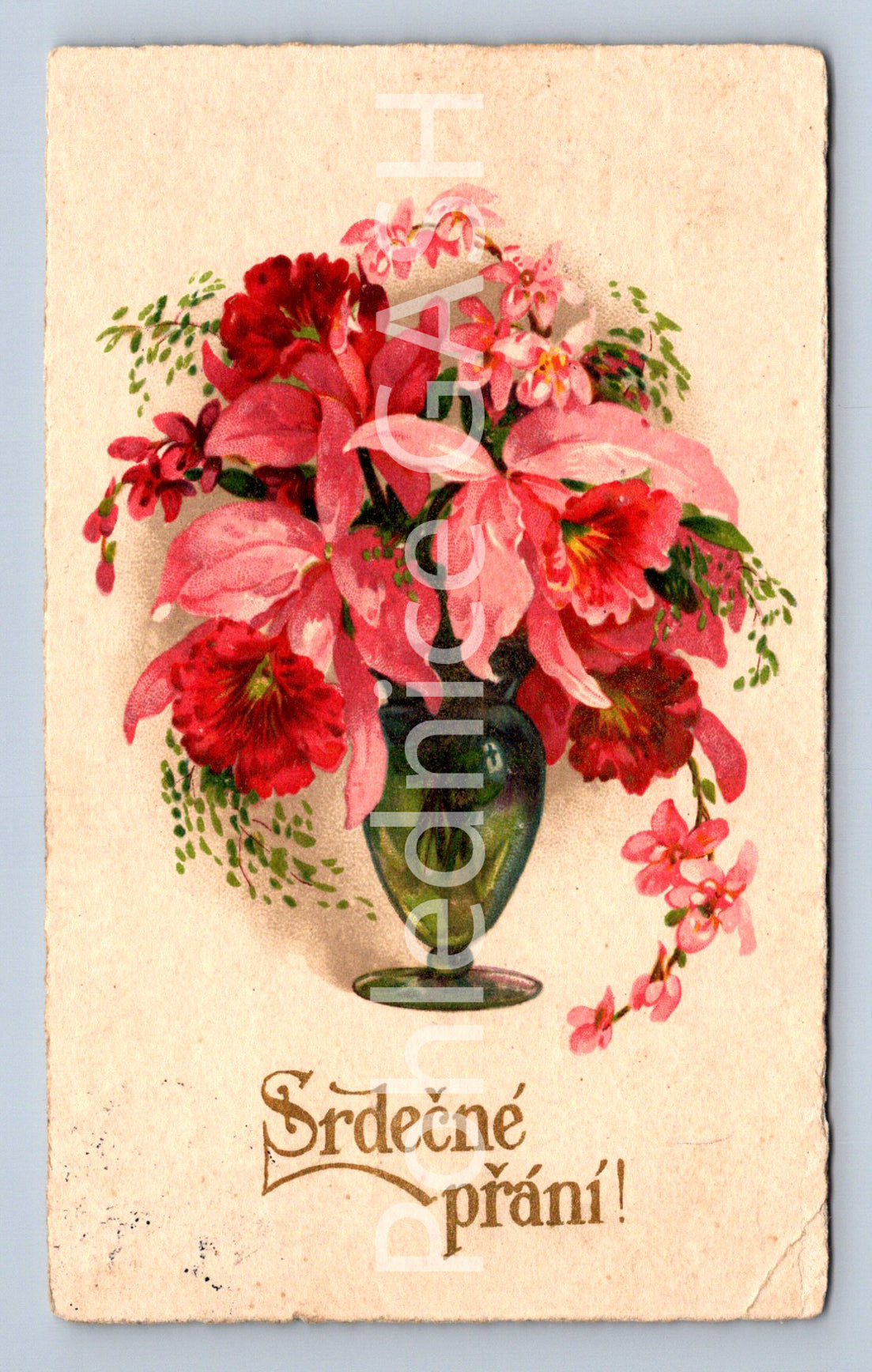 Pohlednice SRDEČNÉ PŘÁNÍ (ST10327)