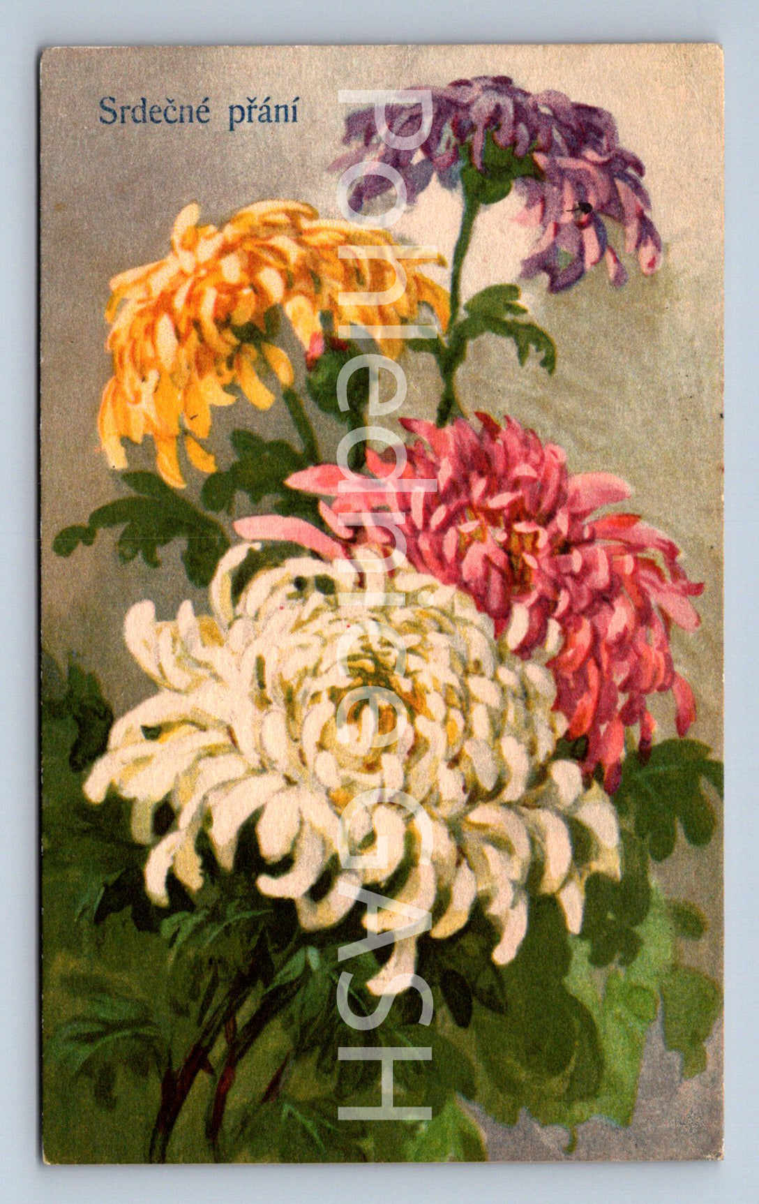 Pohlednice SRDEČNÉ PŘÁNÍ (ST10344)