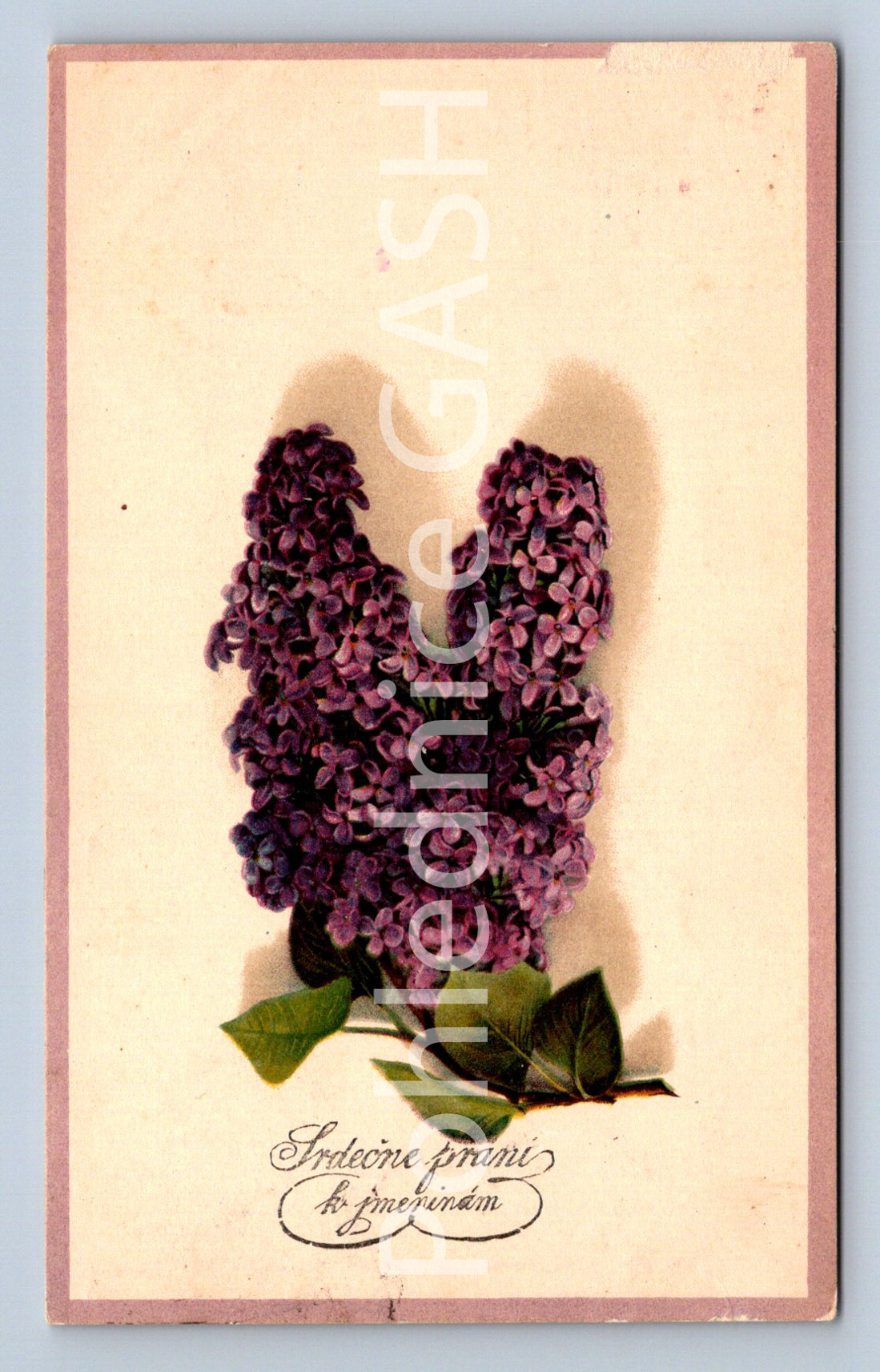 Pohlednice SRDEČNÉ PŘÁNÍ (ST10369)