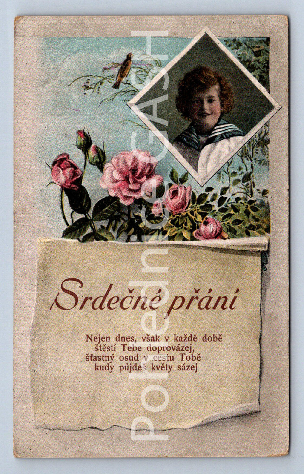 Pohlednice SRDEČNÉ PŘÁNÍ (ST10388)