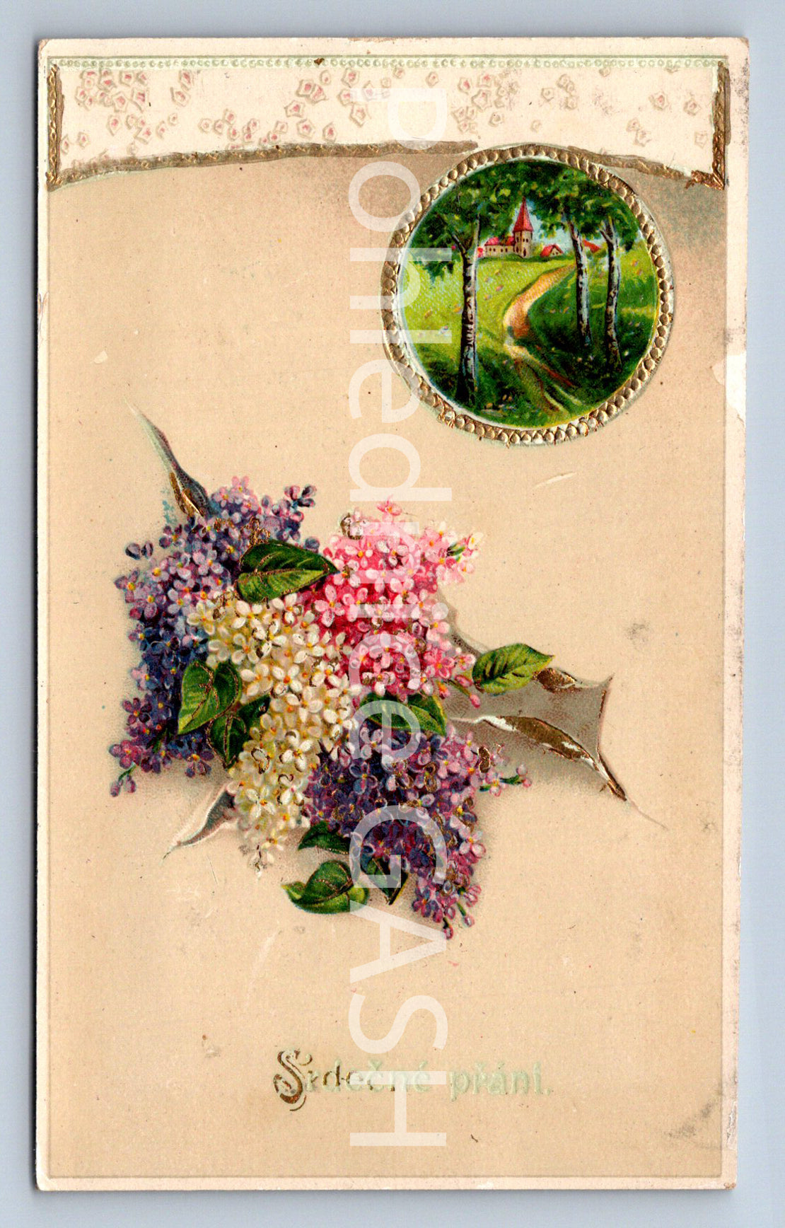 Pohlednice SRDEČNÉ PŘÁNÍ (ST10524)