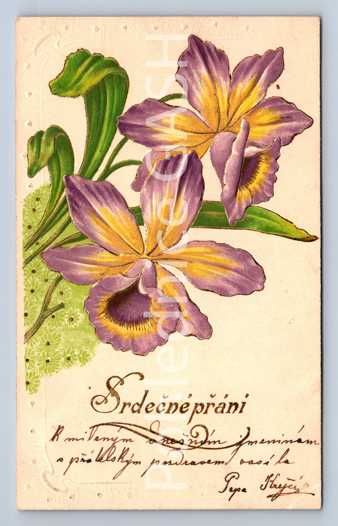 Pohlednice SRDEČNÉ PŘÁNÍ (ST10534)