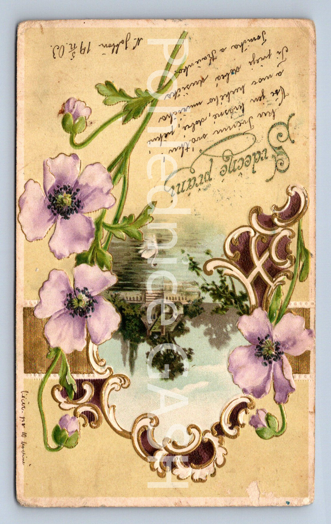 Pohlednice SRDEČNÉ PŘÁNÍ (ST10546)