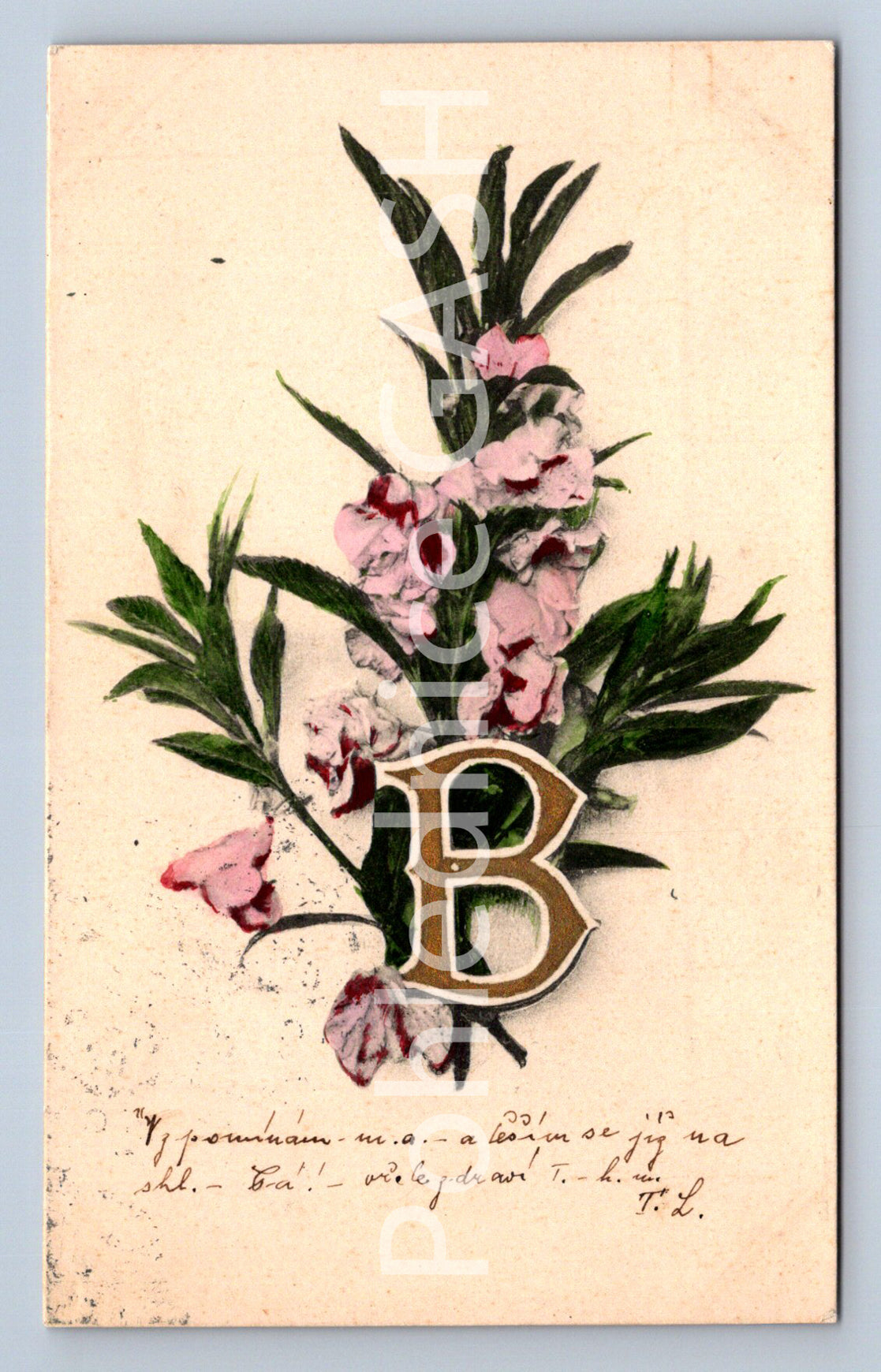 Pohlednice KVĚTINY (ST10558)