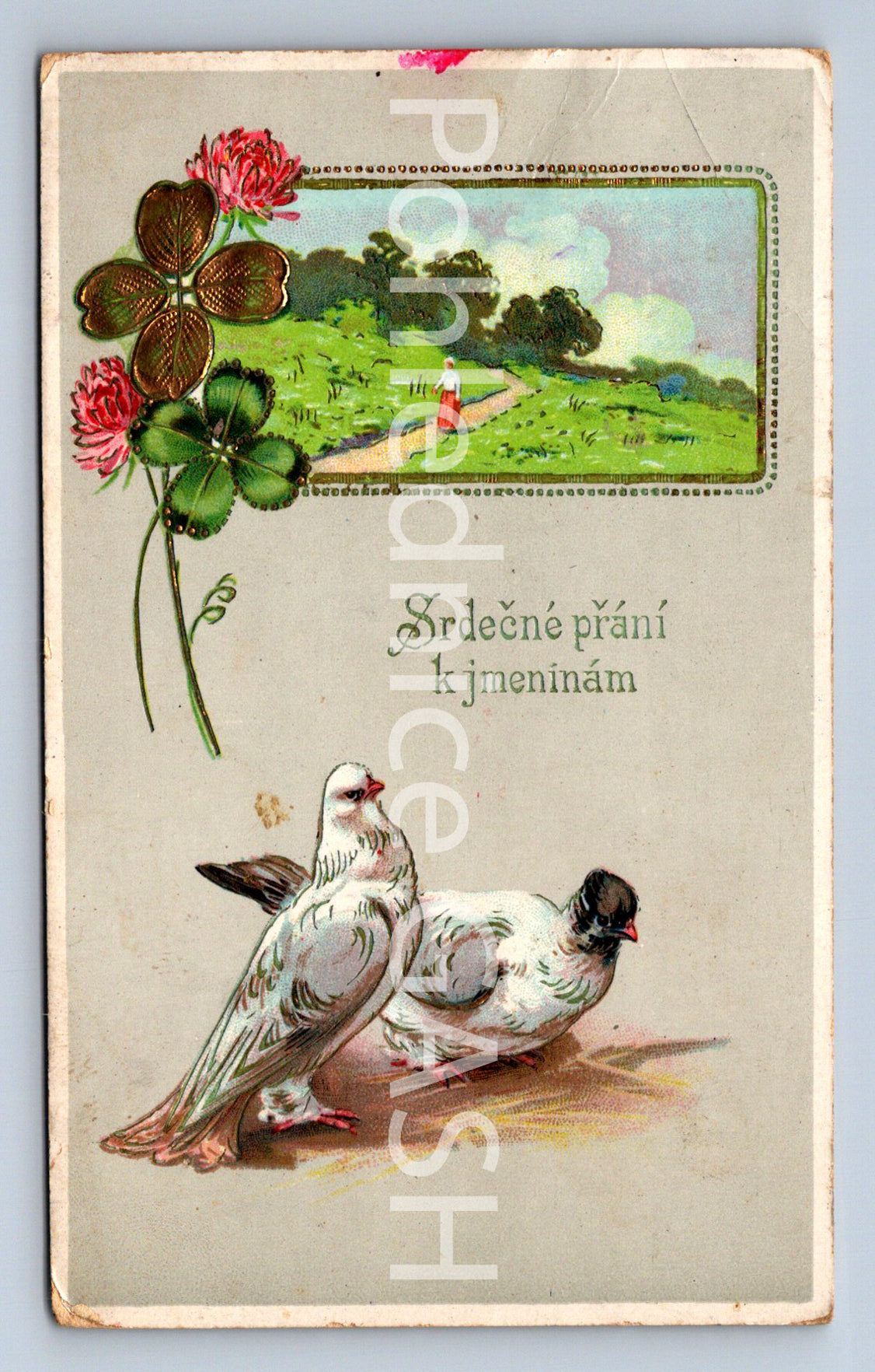 Pohlednice SRDEČNÉ PŘÁNÍ (ST10562)