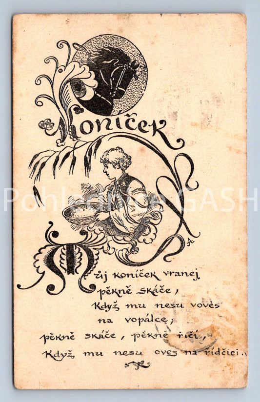 Pohlednice KONÍČEK (ST10907)