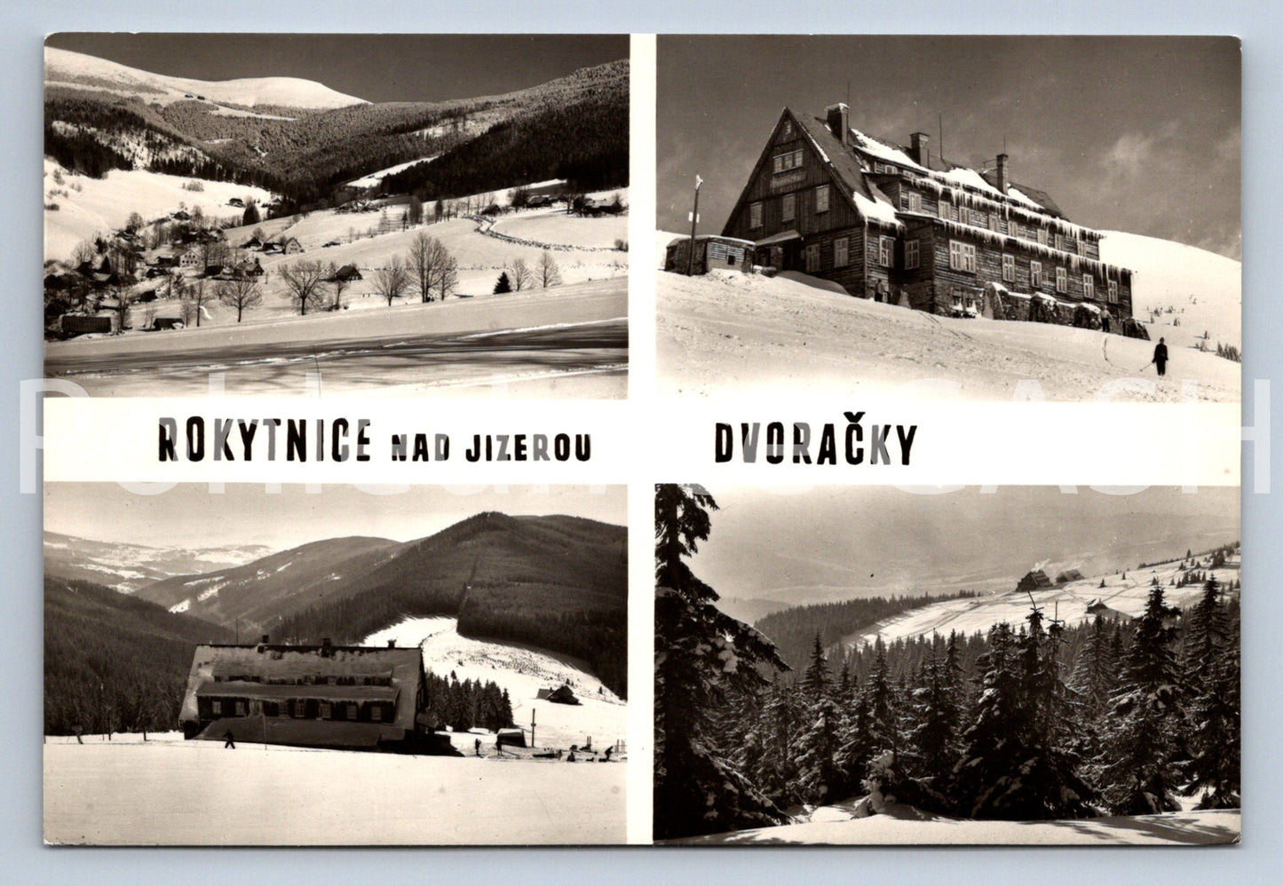 Pohlednice ROKYTNICE NAD JIZEROU - DVORAČKY (ST11098)