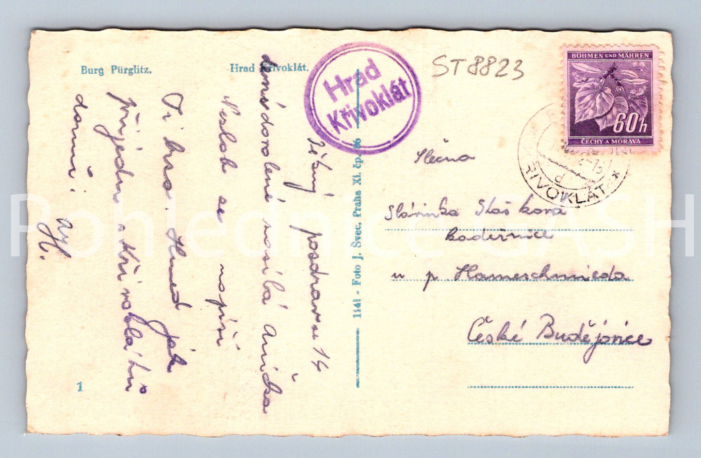 Pohlednice HRAD KŘIVOKLÁT (ST8823)