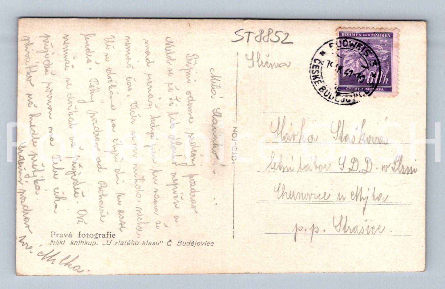 Pohlednice ČESKÉ BUDĚJOVICE (ST8852)