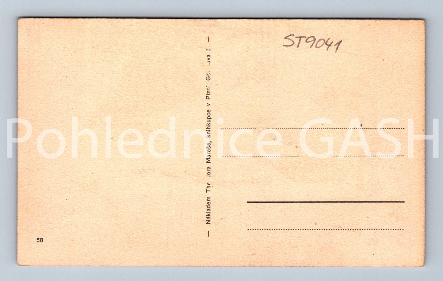 Pohlednice PLZEŇ (ST9041)