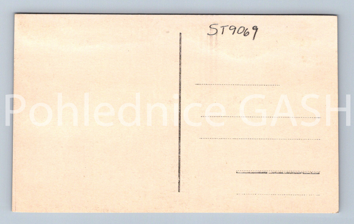 Pohlednice PLZEŇ (ST9069)