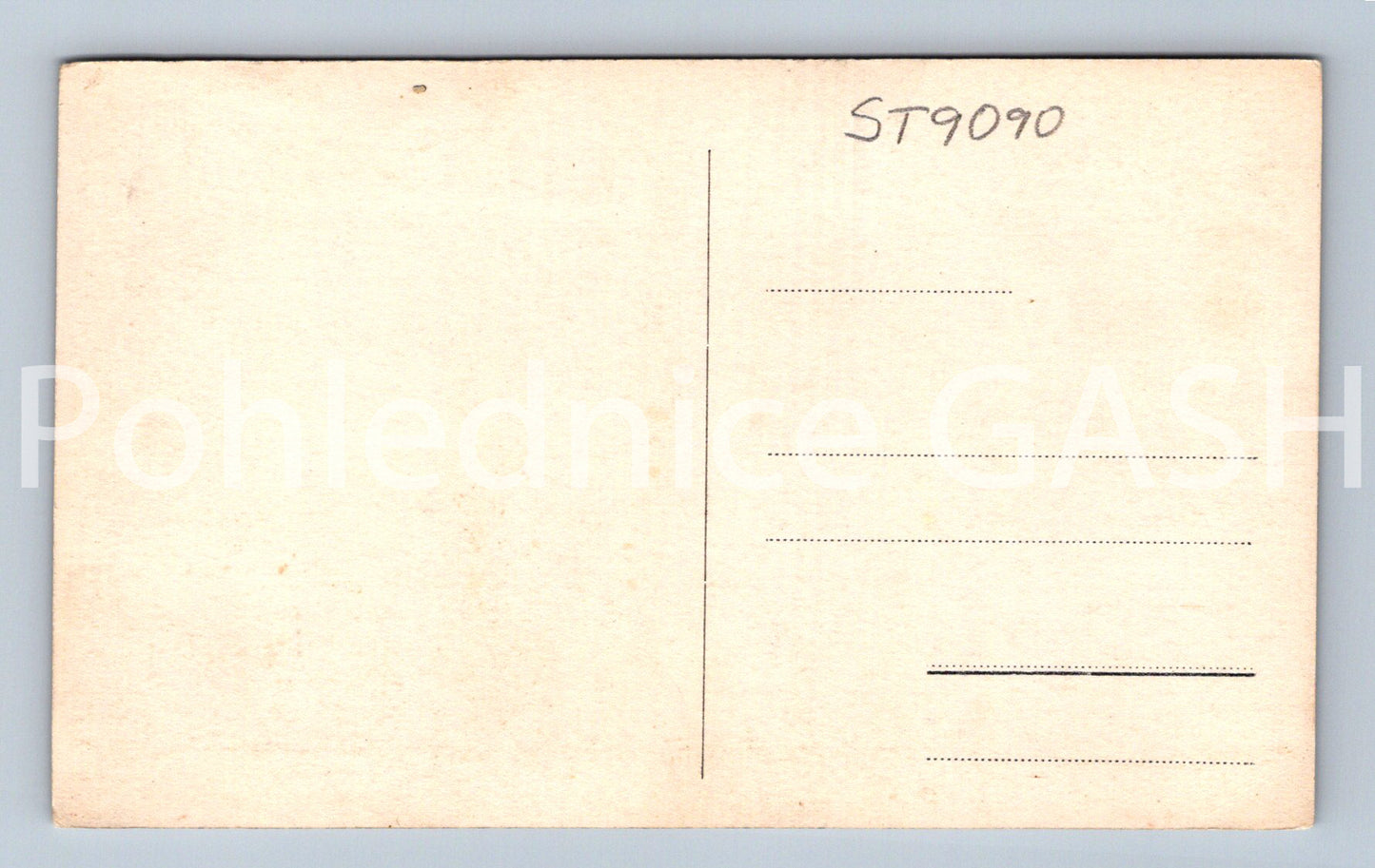 Pohlednice PLZEŇ (ST9090)