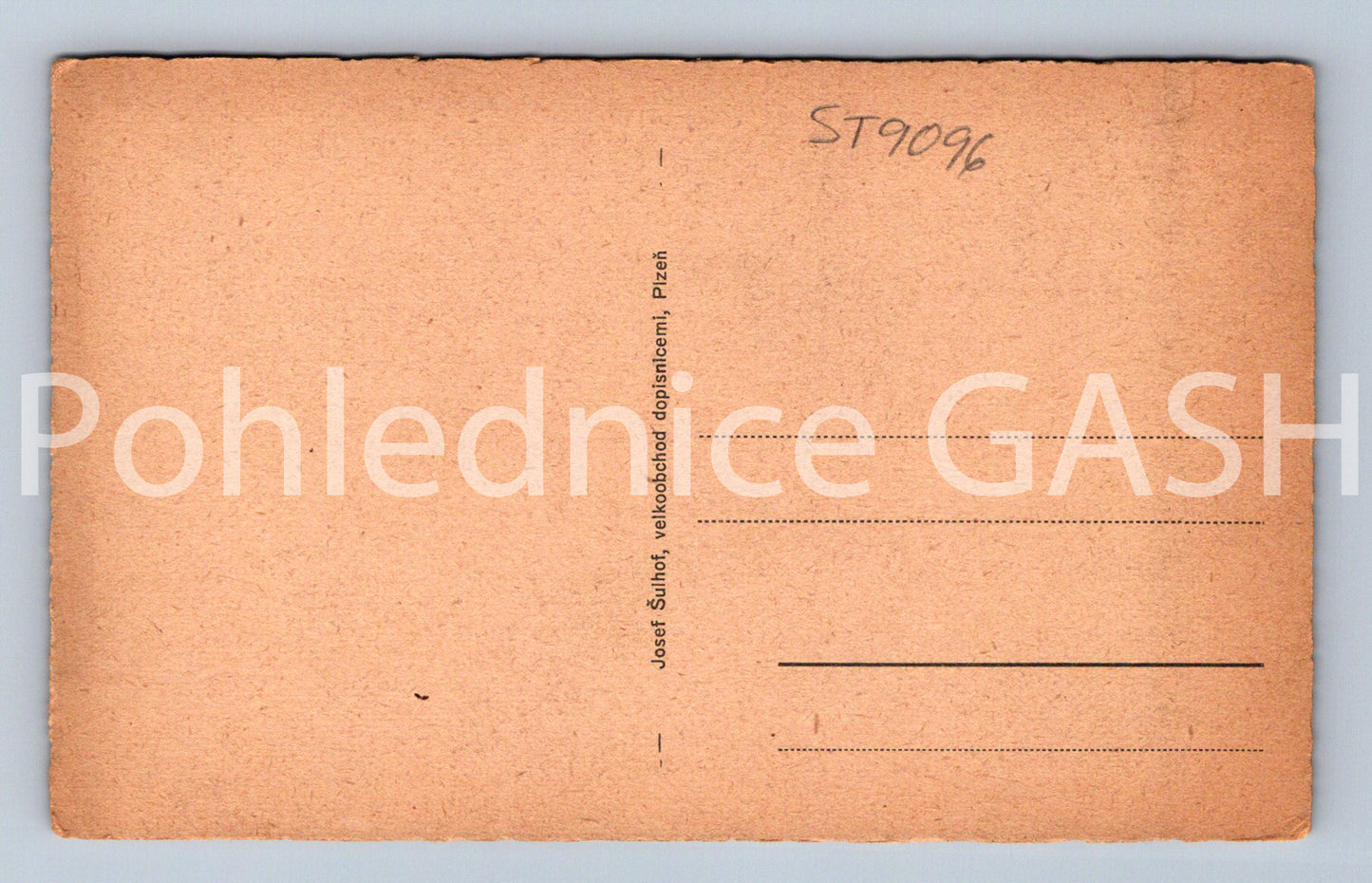Pohlednice PLZEŇ (ST9096)