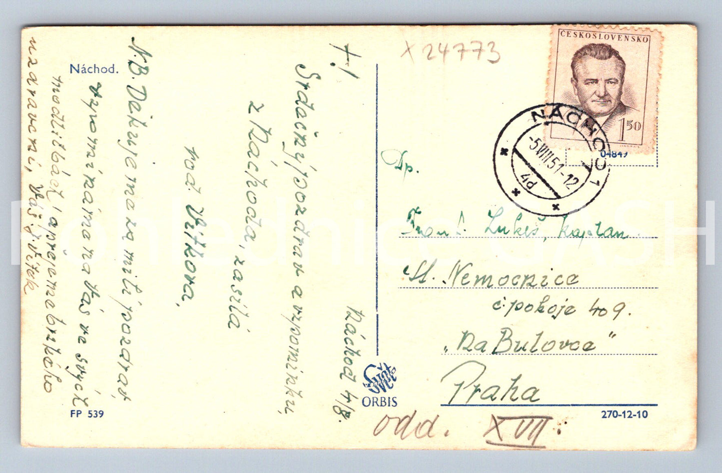 Postcard NÁCHOD (X24773)