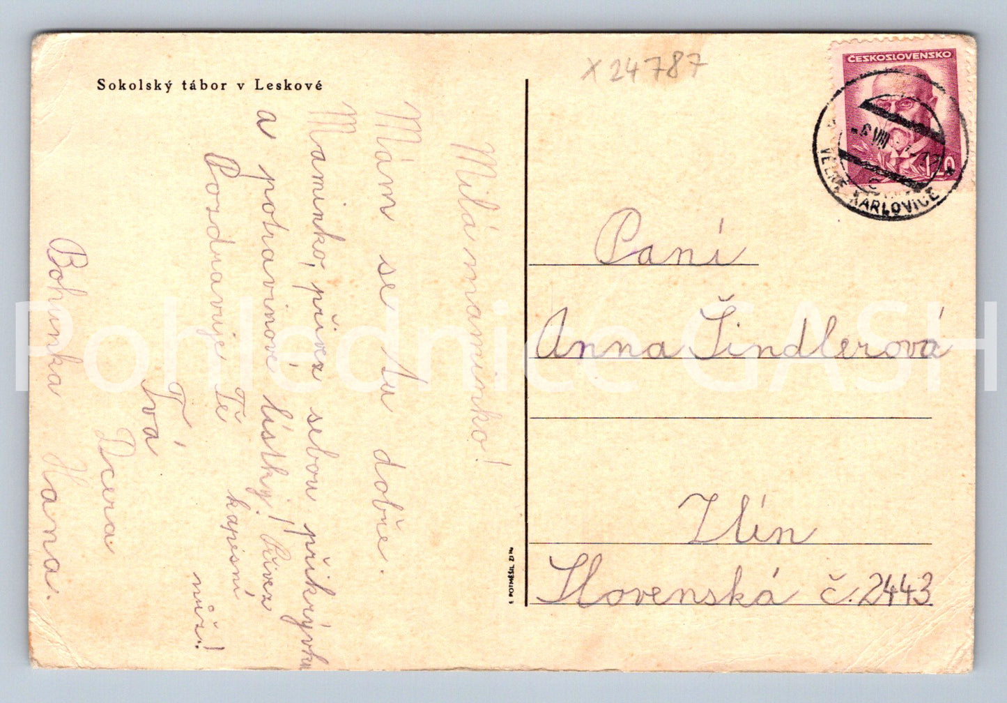 Postcard SOKOL CAMP IN LESKOVÁ (X24787)