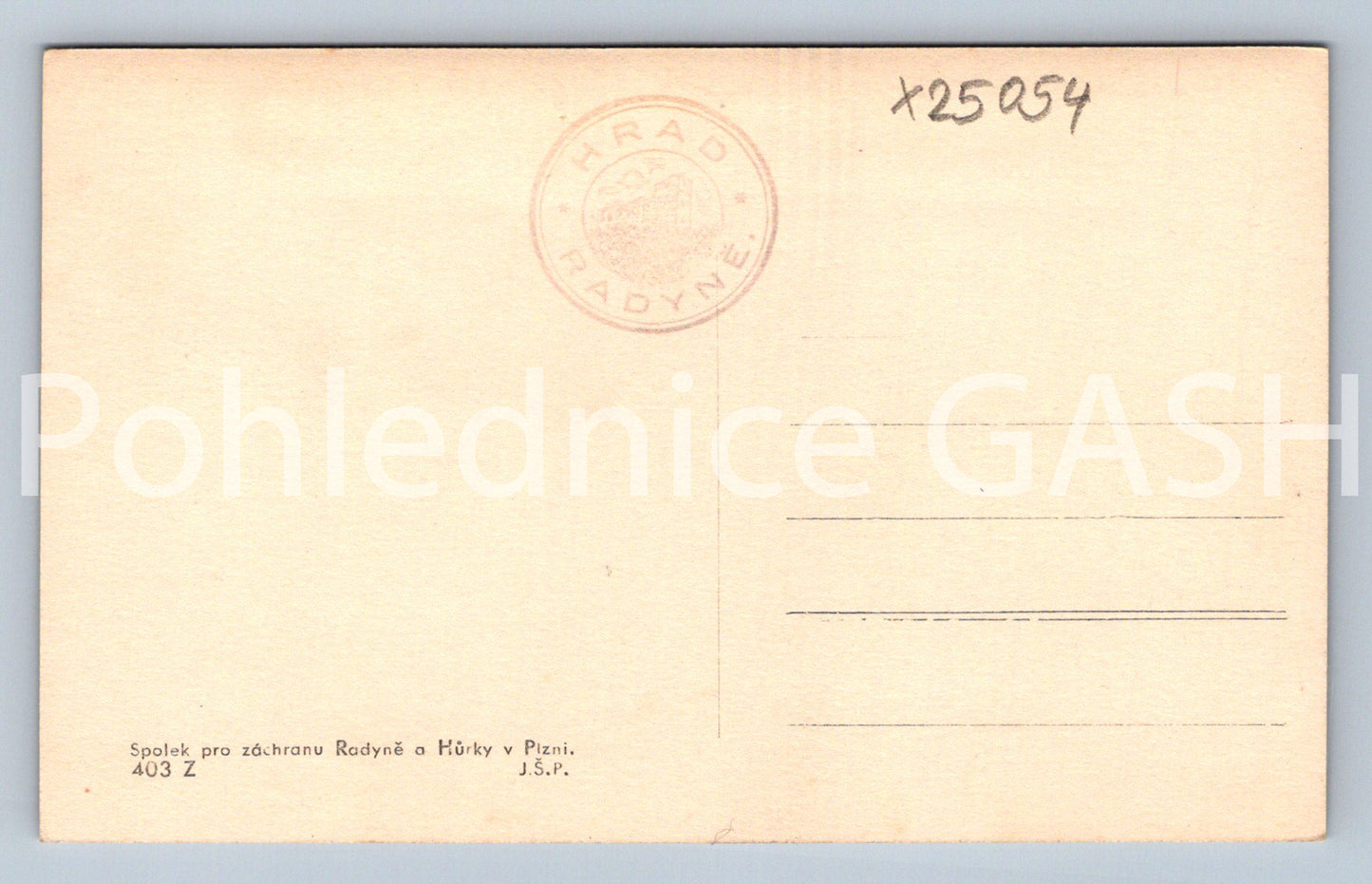 Pohlednice HRAD RADYNĚ U PLZNĚ (X25054)