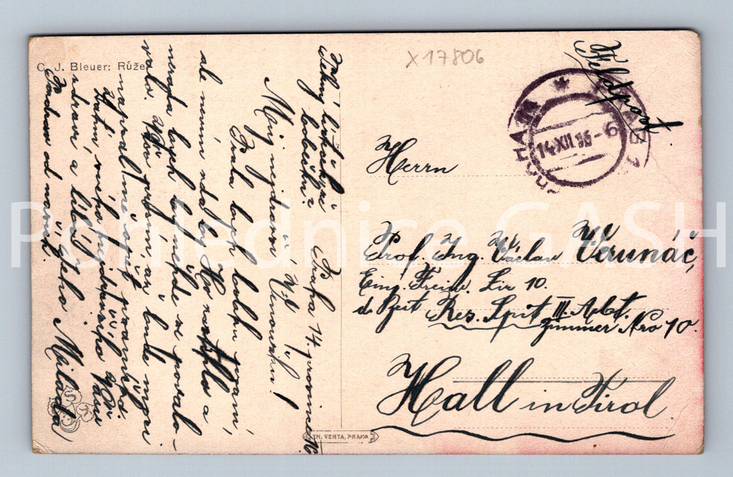 Pohlednice C.J.BLEUER: RŮŽE (x17806)