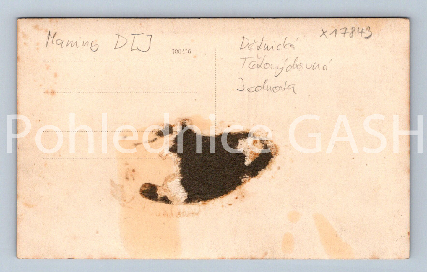 Pohlednice MANINY (x17843)