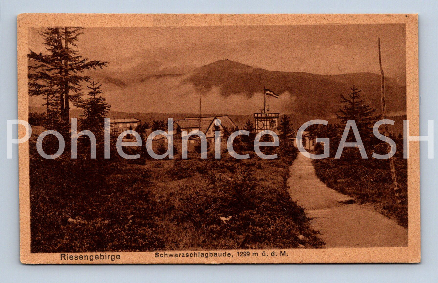 Pohlednice RIESENBIRGE (ST11309)