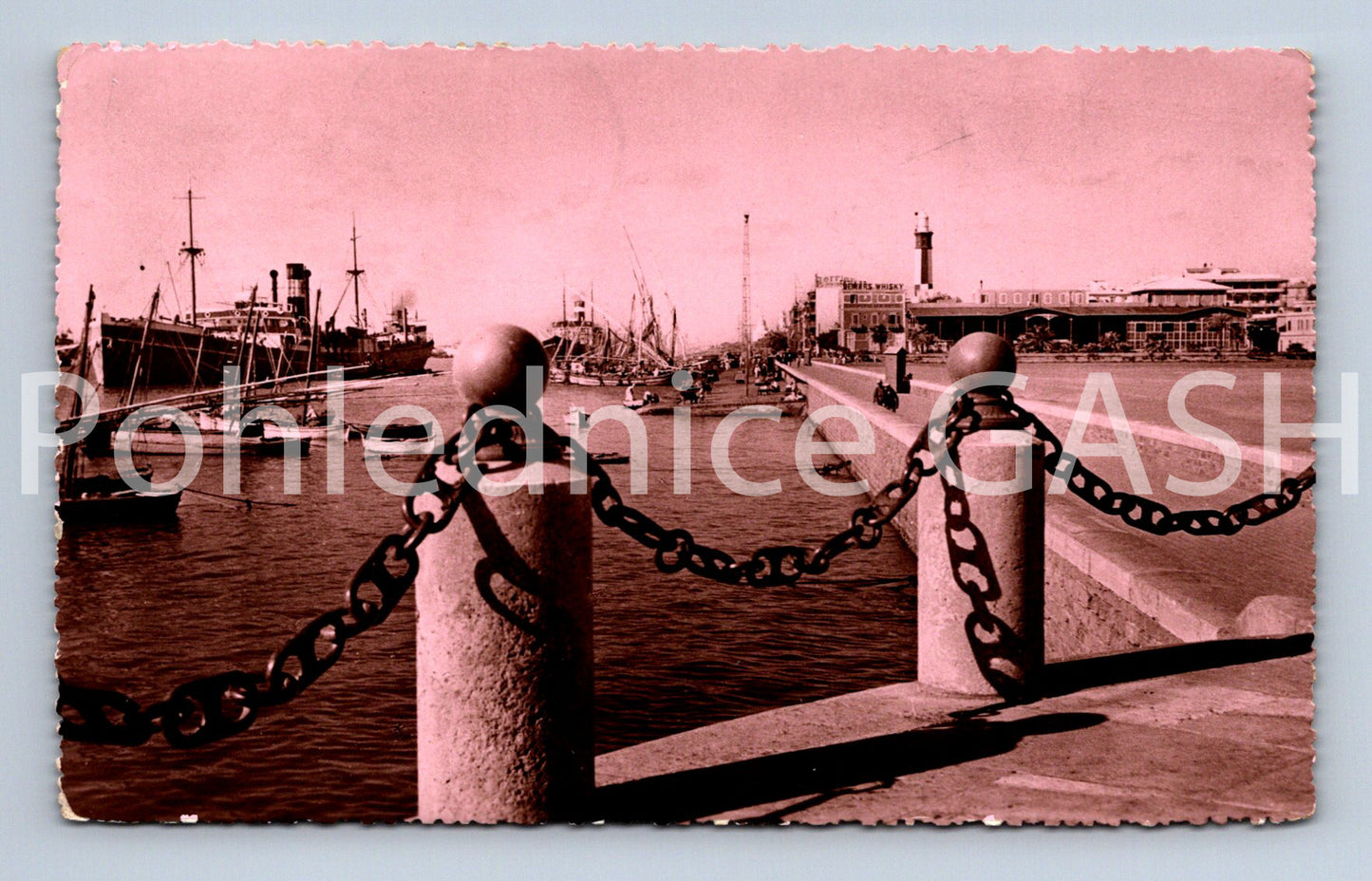 Pohlednice PORT SAID - LE PORT (ST11654)