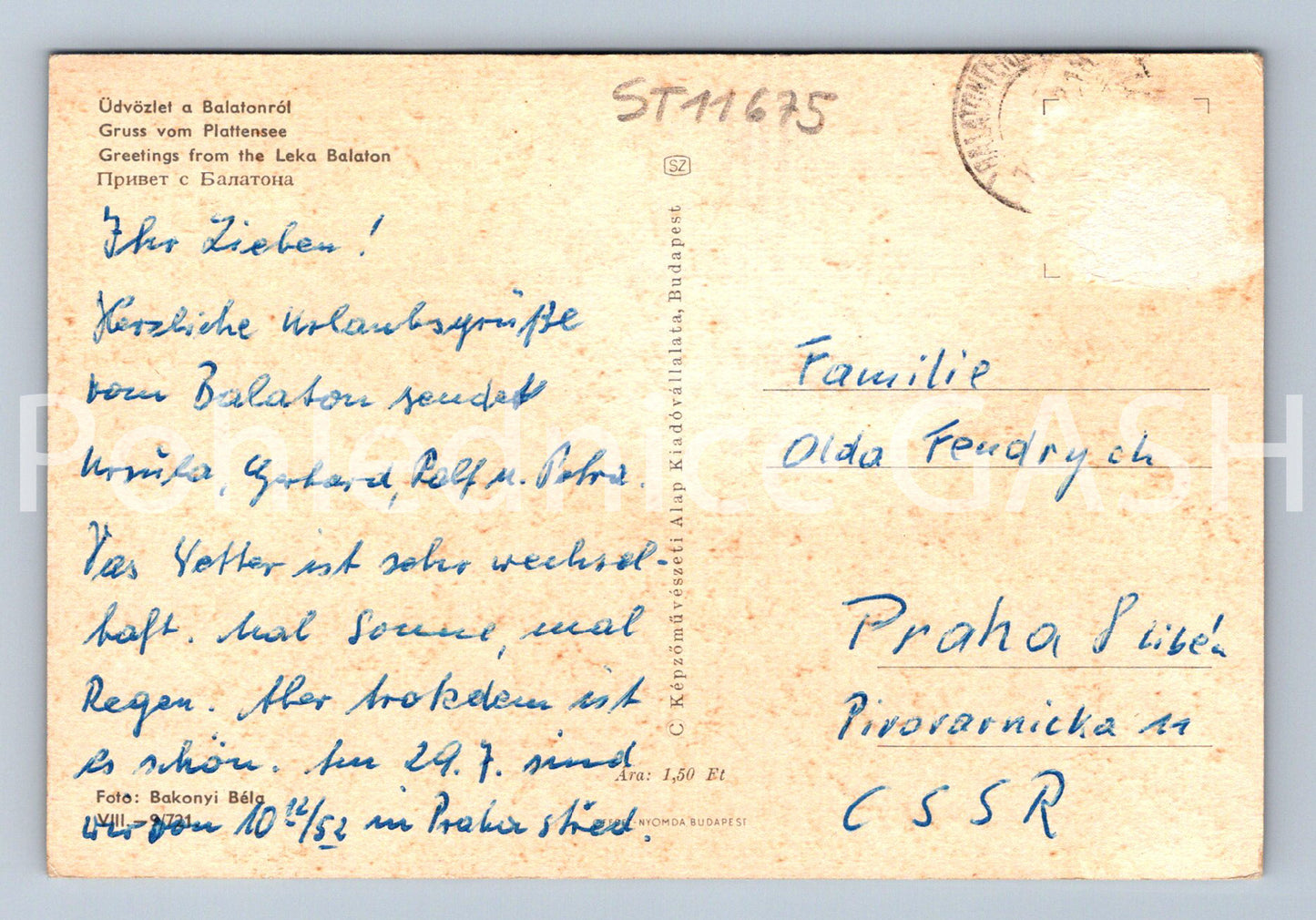 Postcard BOGLÁRLELLE (ST11675)