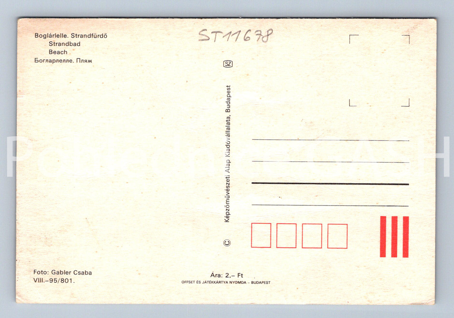 Postcard BOGLÁRLELLE (ST11678)