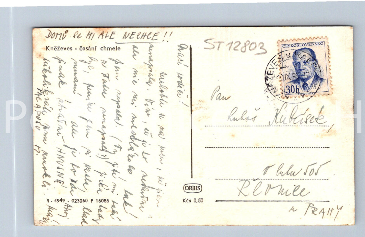 Postcard KNĚŽEVES (ST12803)