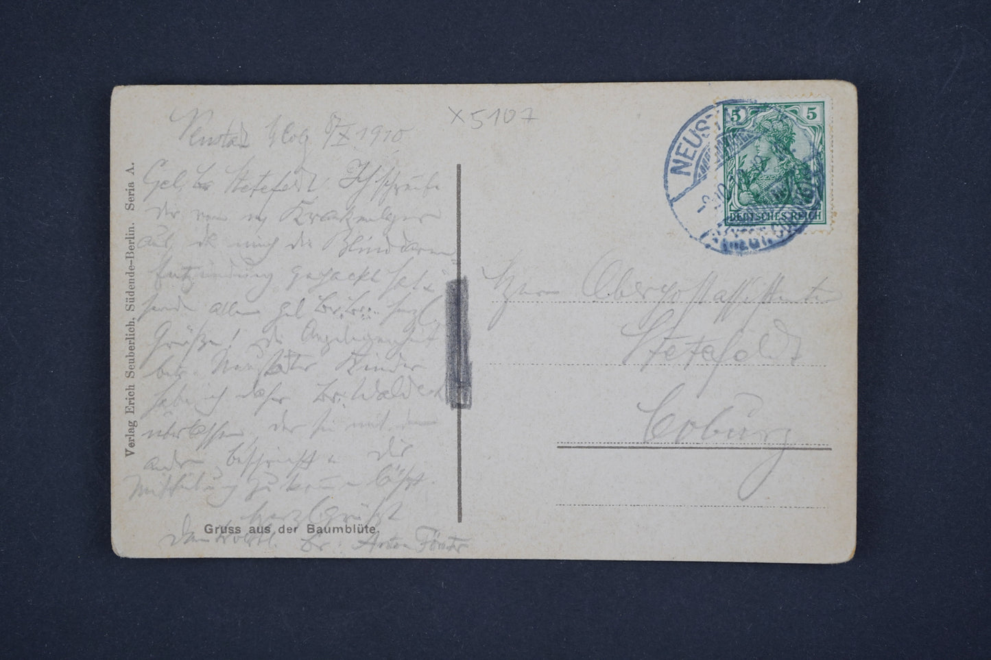 Greetings from the tree blossom postcard